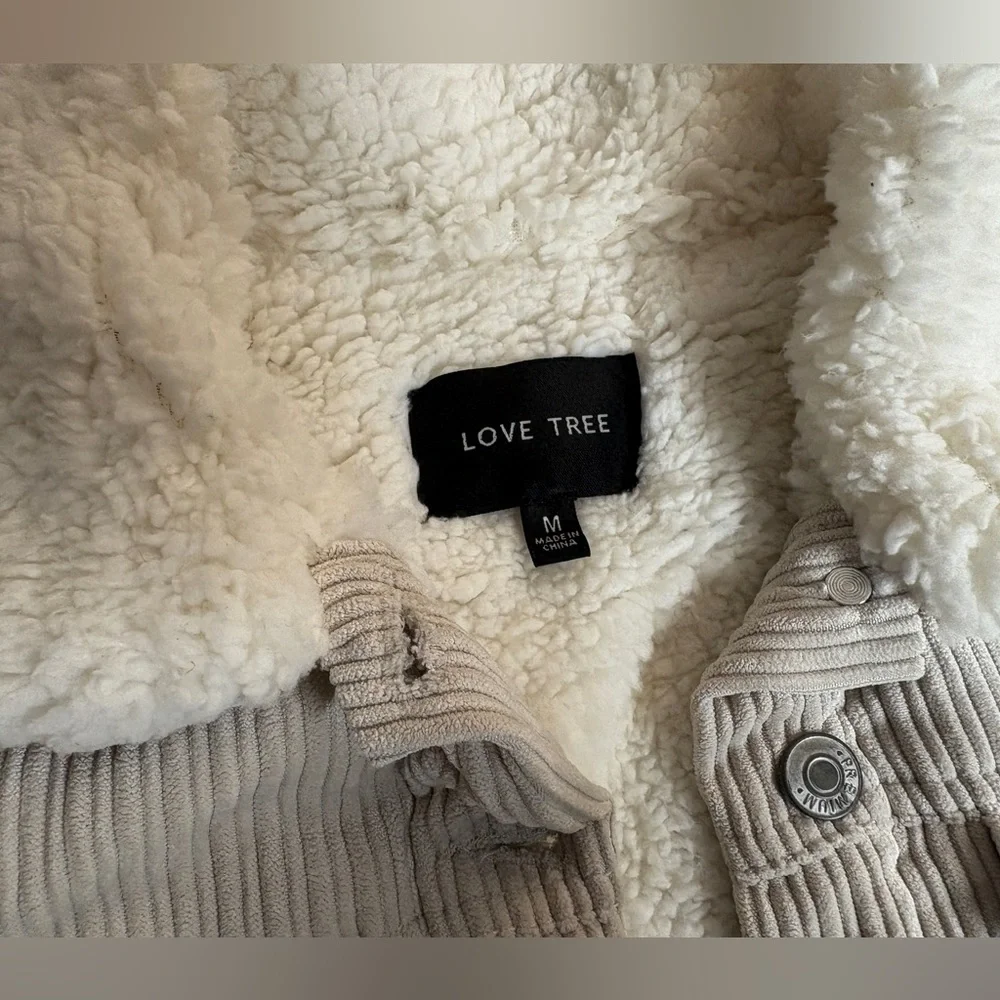 Cream Corduroy Sherpa Cropped Barn Jacket - Picture 5 of 6